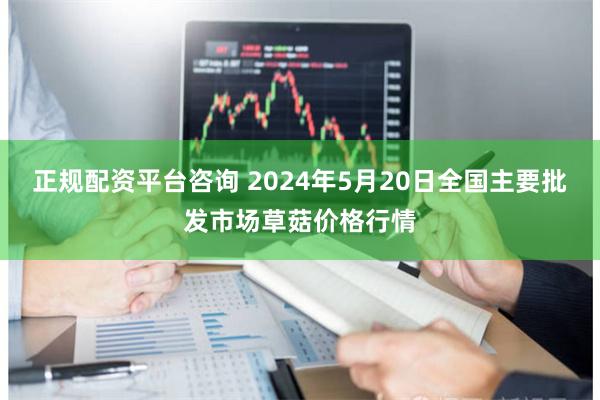 正规配资平台咨询 2024年5月20日全国主要批发市场草菇价格行情