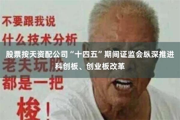 股票按天资配公司“十四五”期间证监会纵深推进科创板、创业板改革